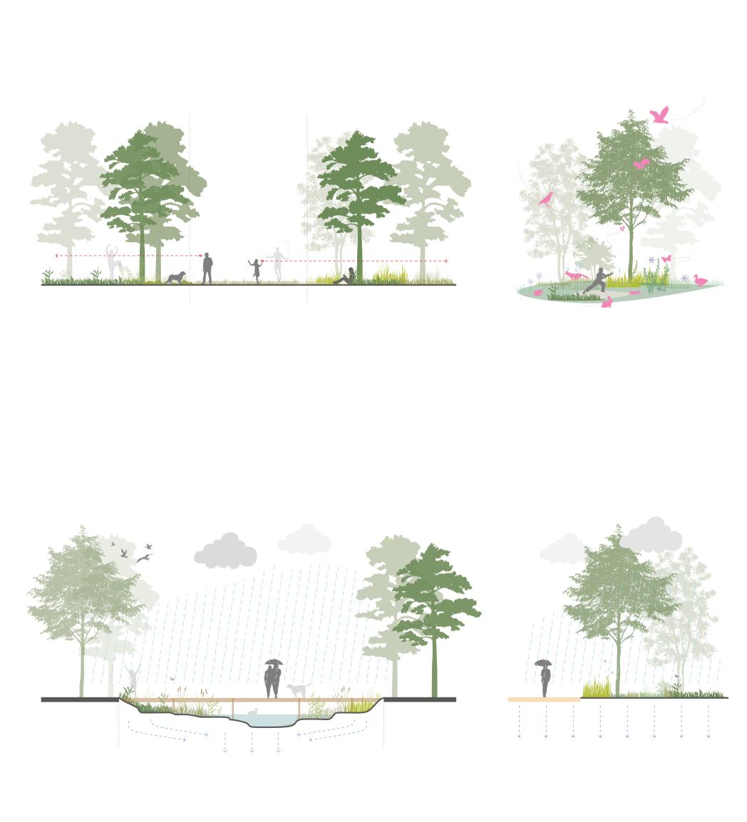 POLA CML 08 Campusmitte Lichtwiese Diagram copy.jpg